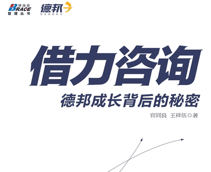 成长期企业应加速“借力咨询”！